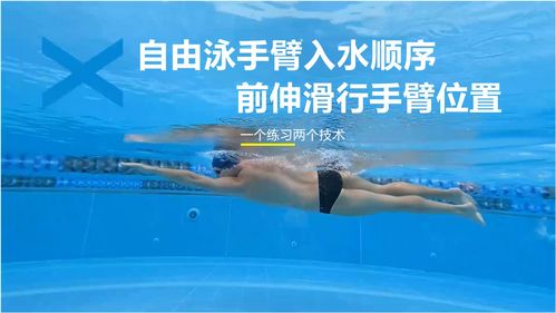 一个练习两个技术,自由泳手臂入水顺序 前伸滑行时手臂位置