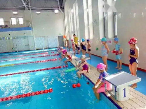 儿童游泳中心线上课堂 游泳技术规则 四 游泳的益处