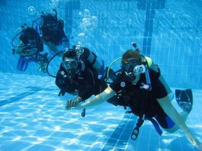 潜水学习攻略及经验分享